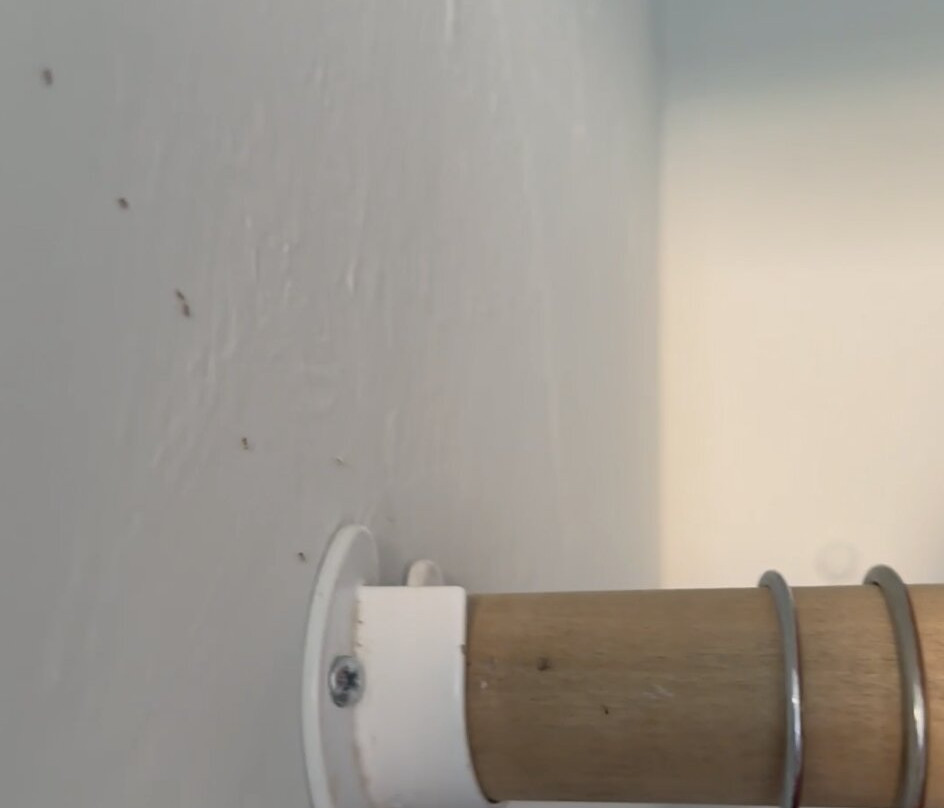 基黑酒店住宿-Kohea Kai Hotel Maui