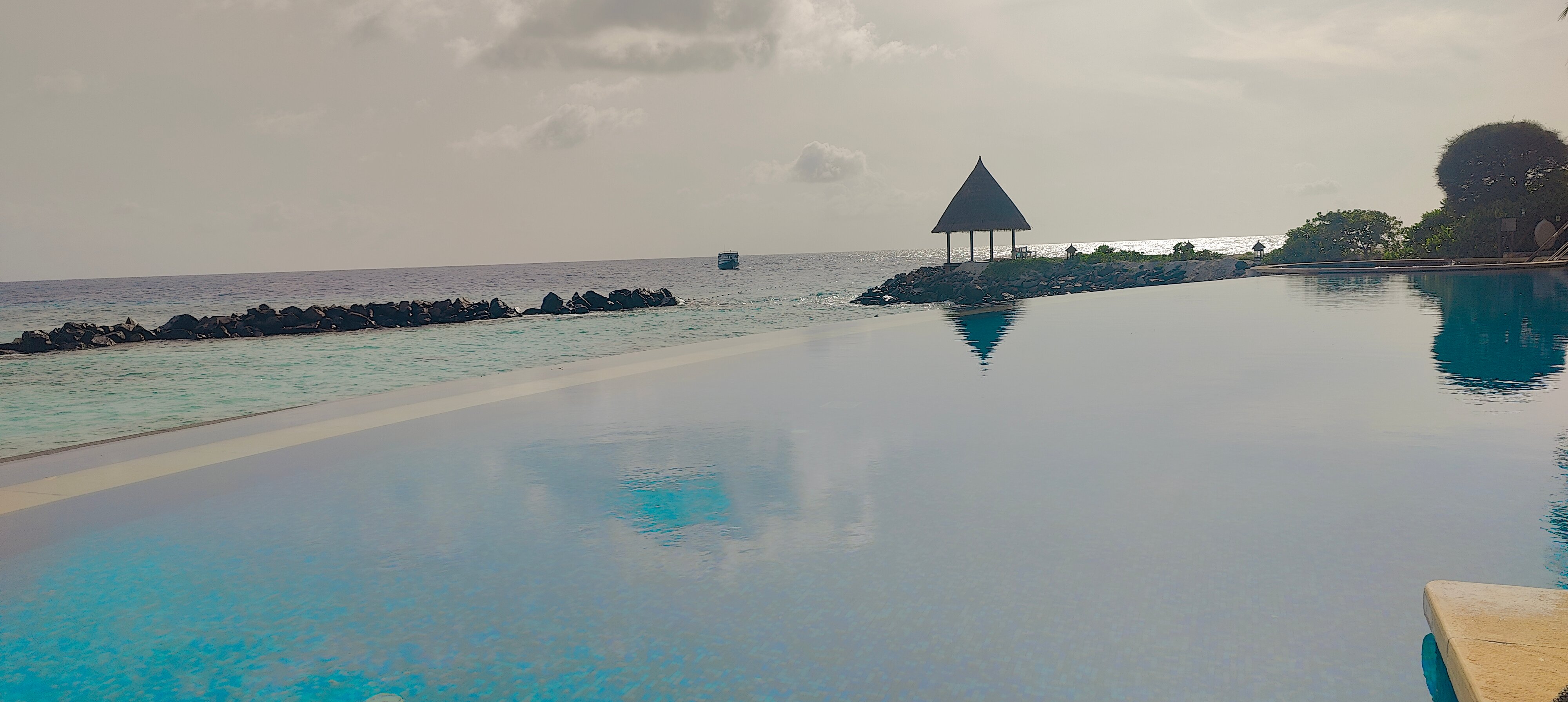 泰姬珊瑚礁度假村-泳池