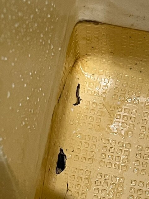 Espace Montcalm主图