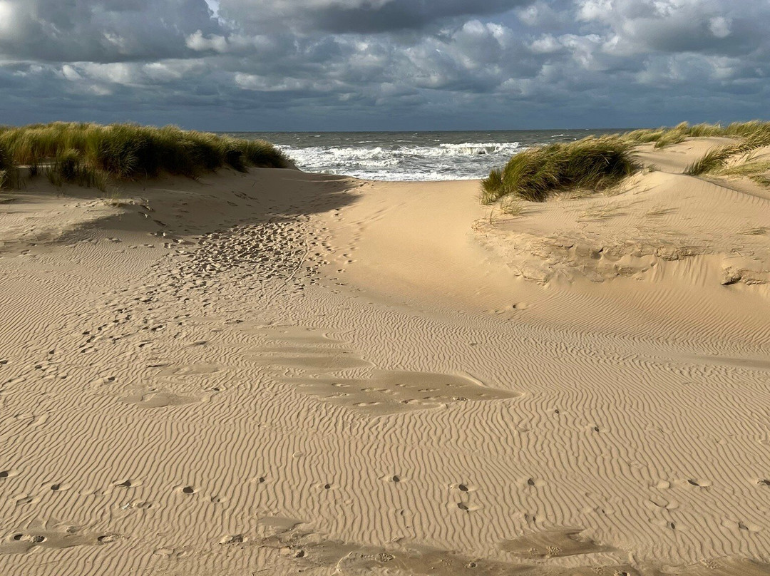贝拉豪景园大酒店主图