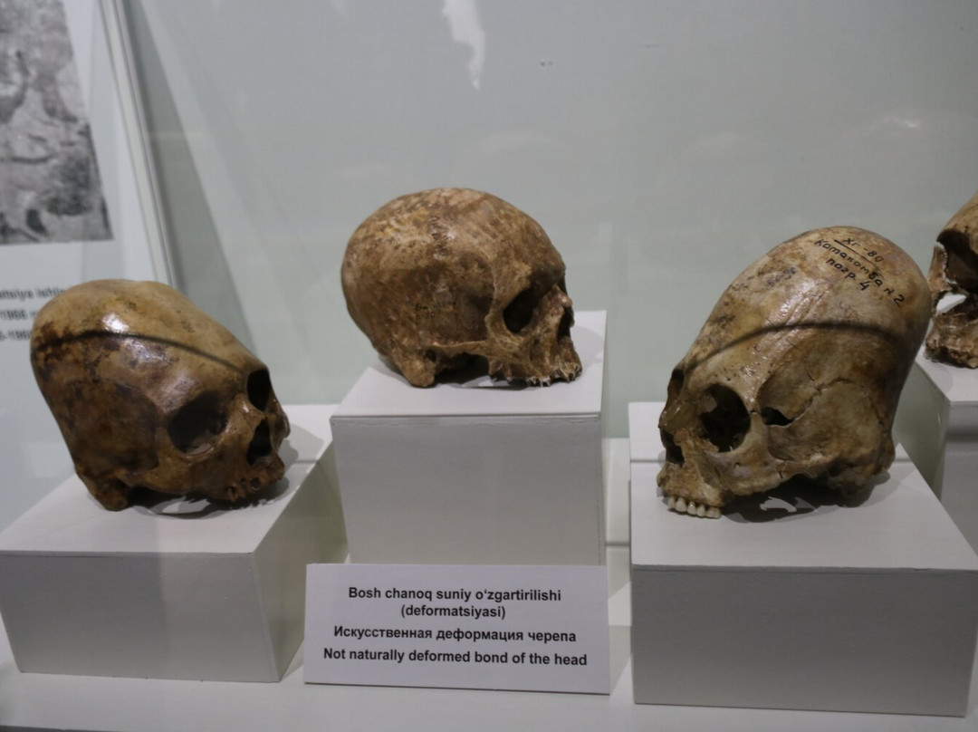 Afrasiyab Museum-撒马尔罕必去景点