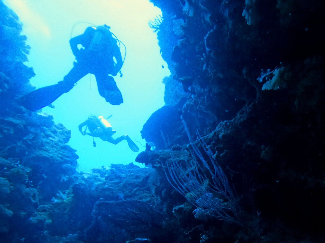 Aqua-Trek-太平洋港必去景点