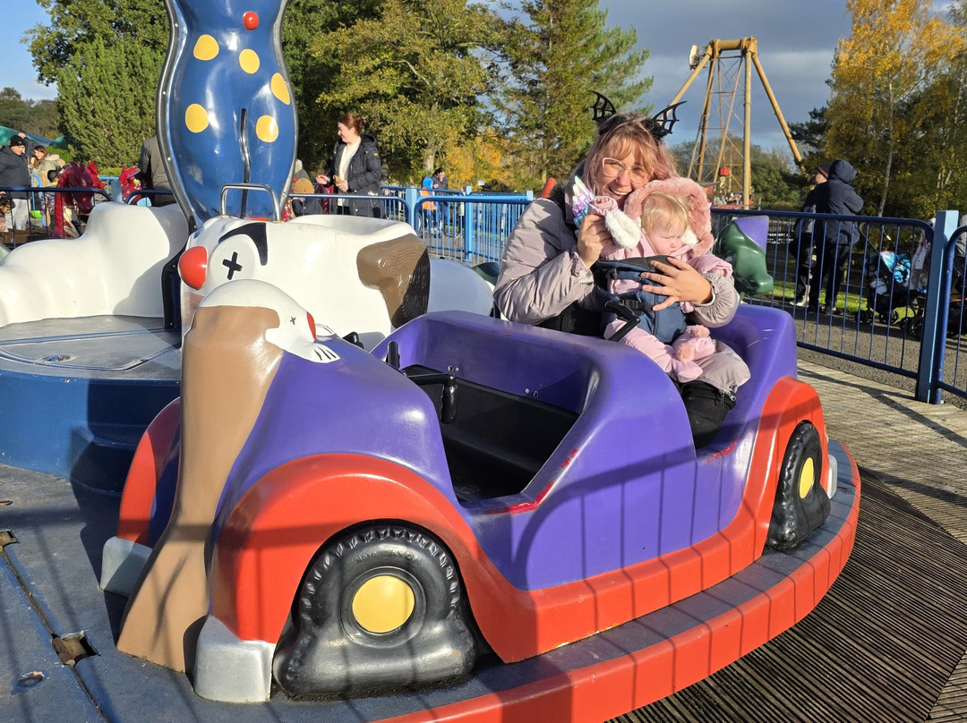 Lightwater Valley Family Adventure Park-North Stainley必去景点
