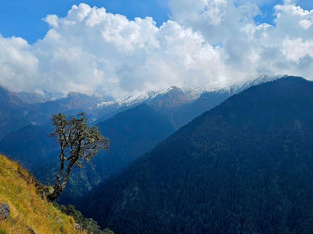 Shri Madmaheshwar Temple-Ukhimath必去景点