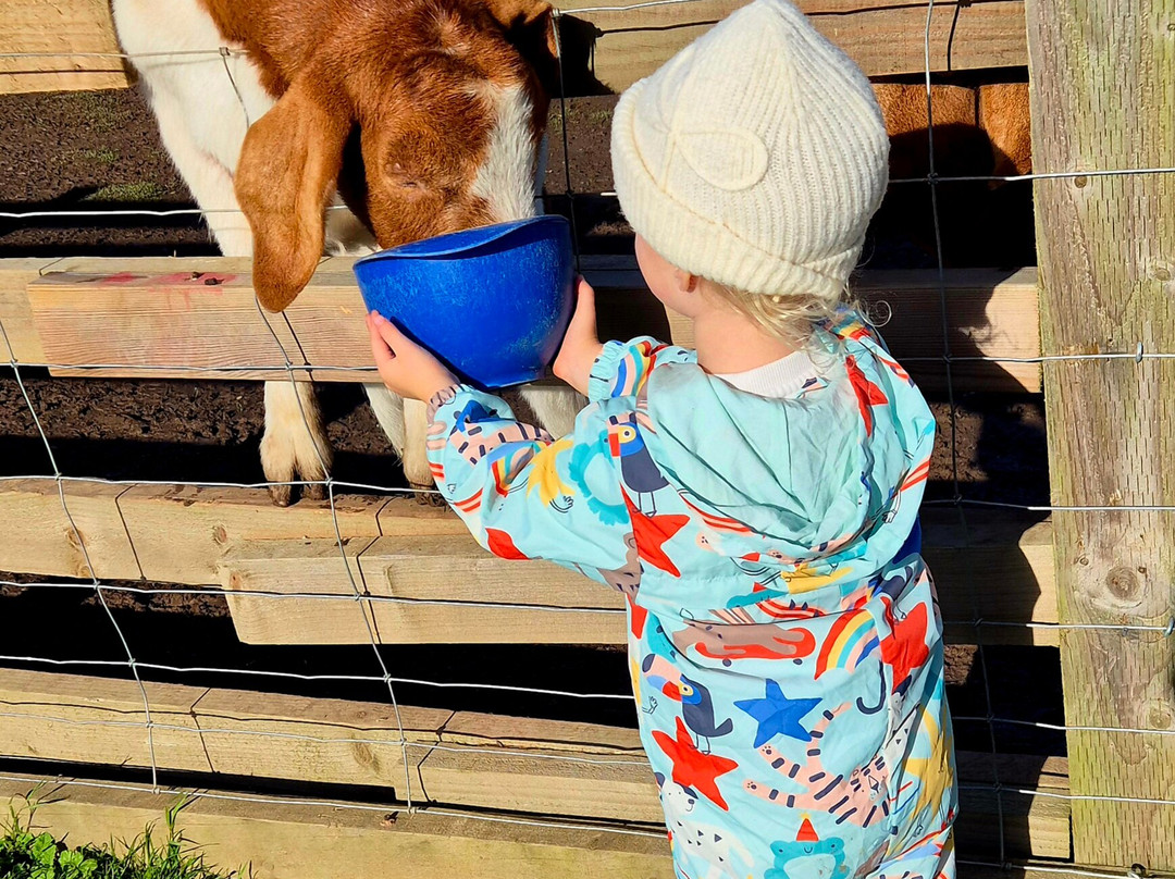 Macdonalds Farm-帕兹托必去景点