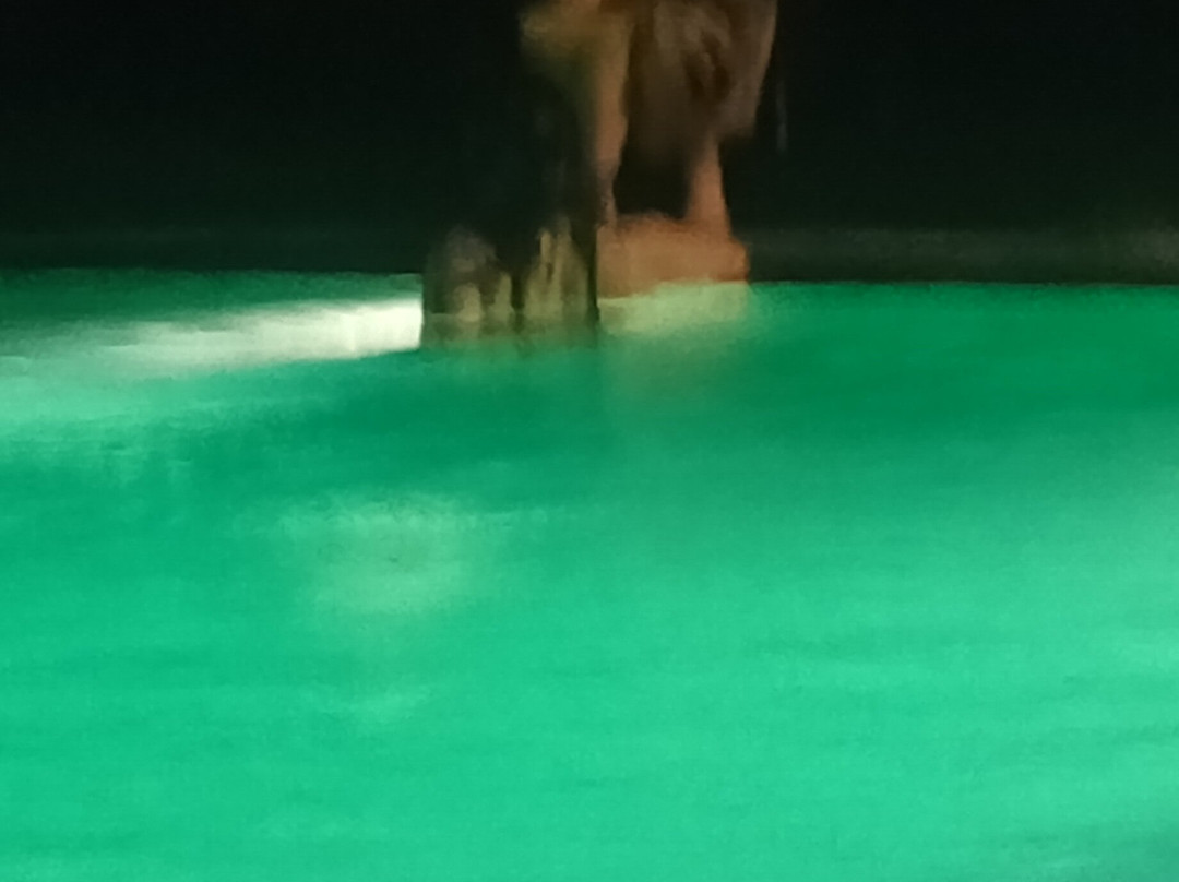 Maika Safari Lodge-乌达瓦拉瓦必去景点