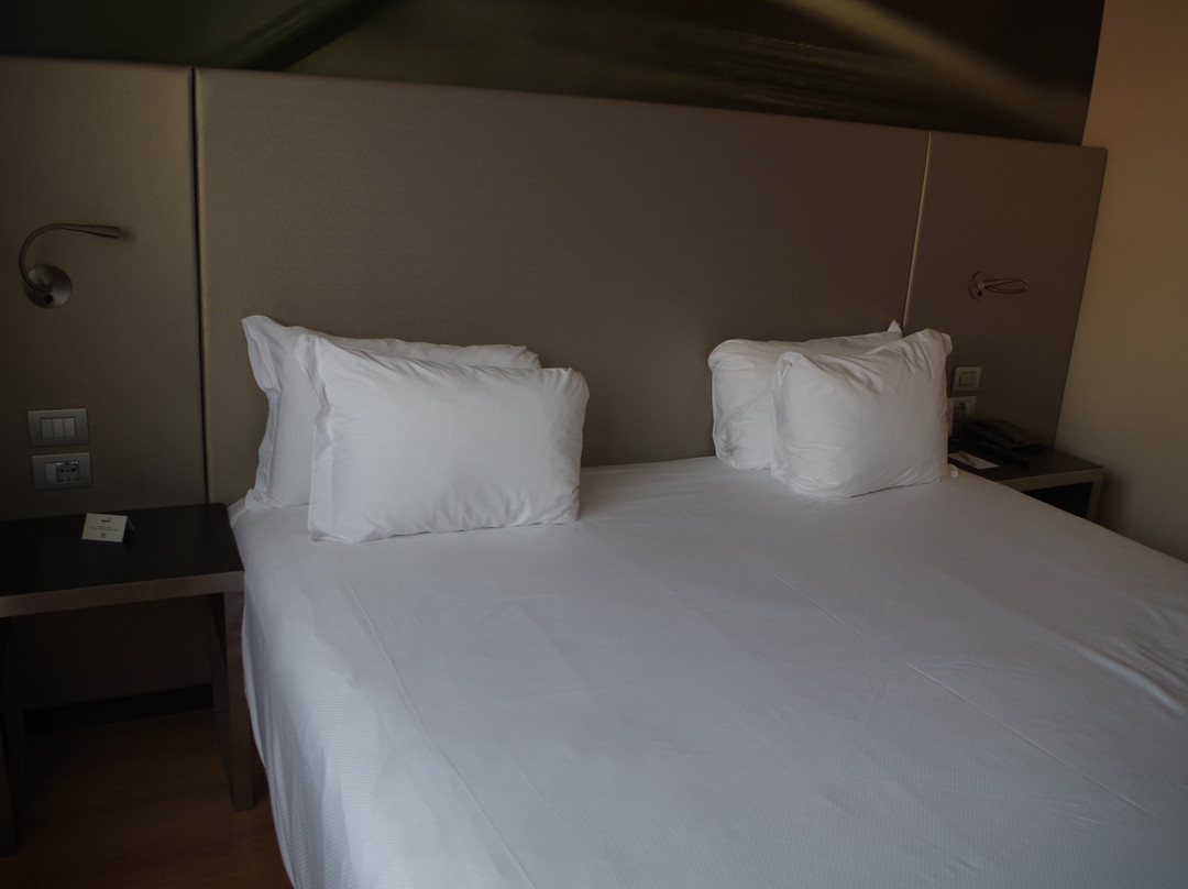 NH欧瑞欧阿尔赛瑞欧酒店主图