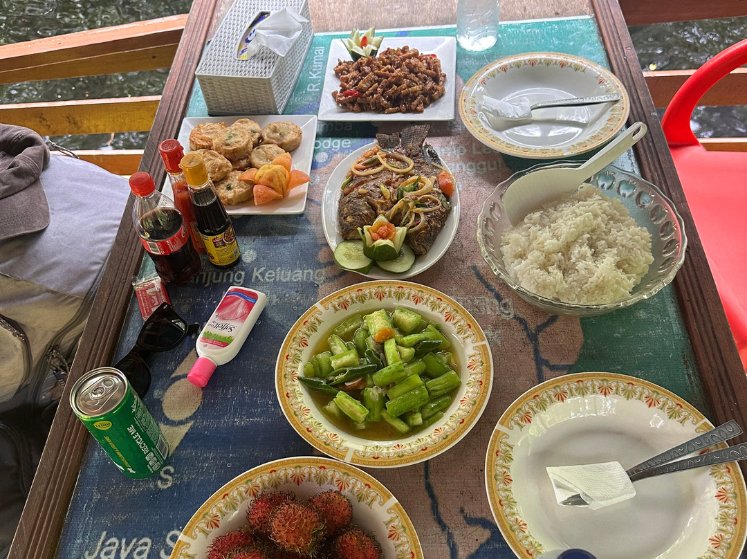 Toris Orangutan Tour-Kumai必去景点