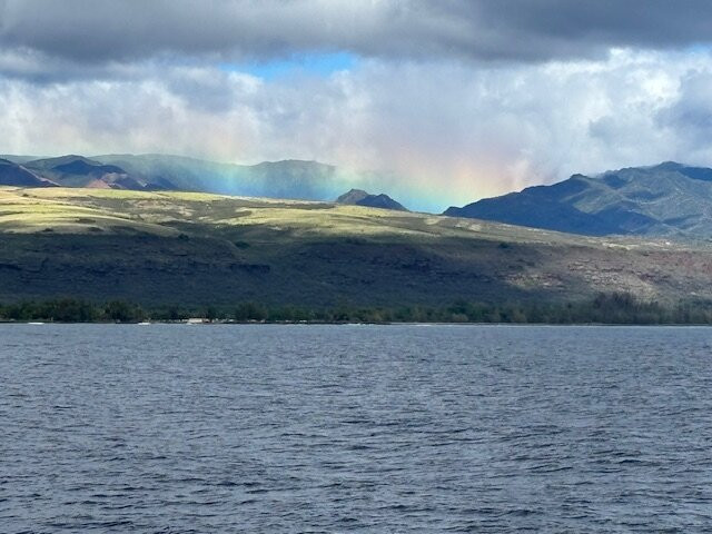 Blue Dolphin Charters-埃里埃利必去景点