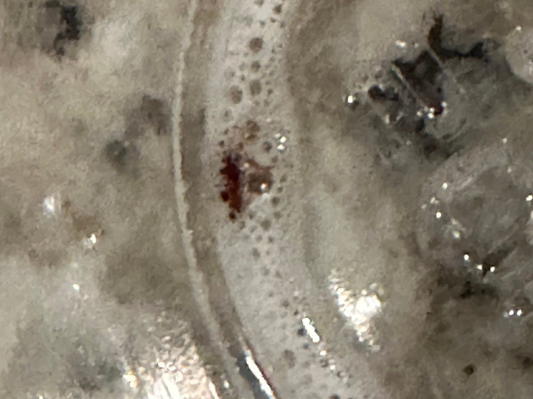 林奇堡希尔顿花园旅馆主图