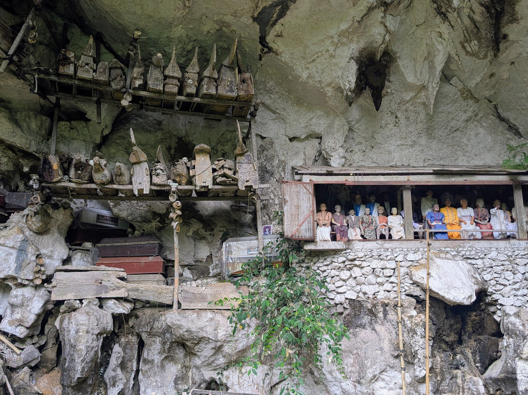 Toraja local guide-Tana Toraja必去景点