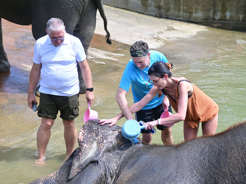 Elephant Jungle Sanctuary Samui-波普特必去景点