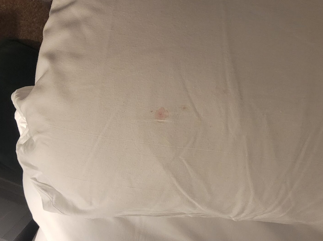 The Castle Hotel主图