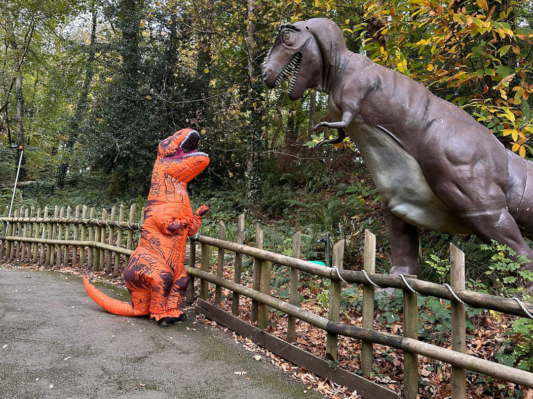 Woodlands Family Theme Park-达特茅斯必去景点