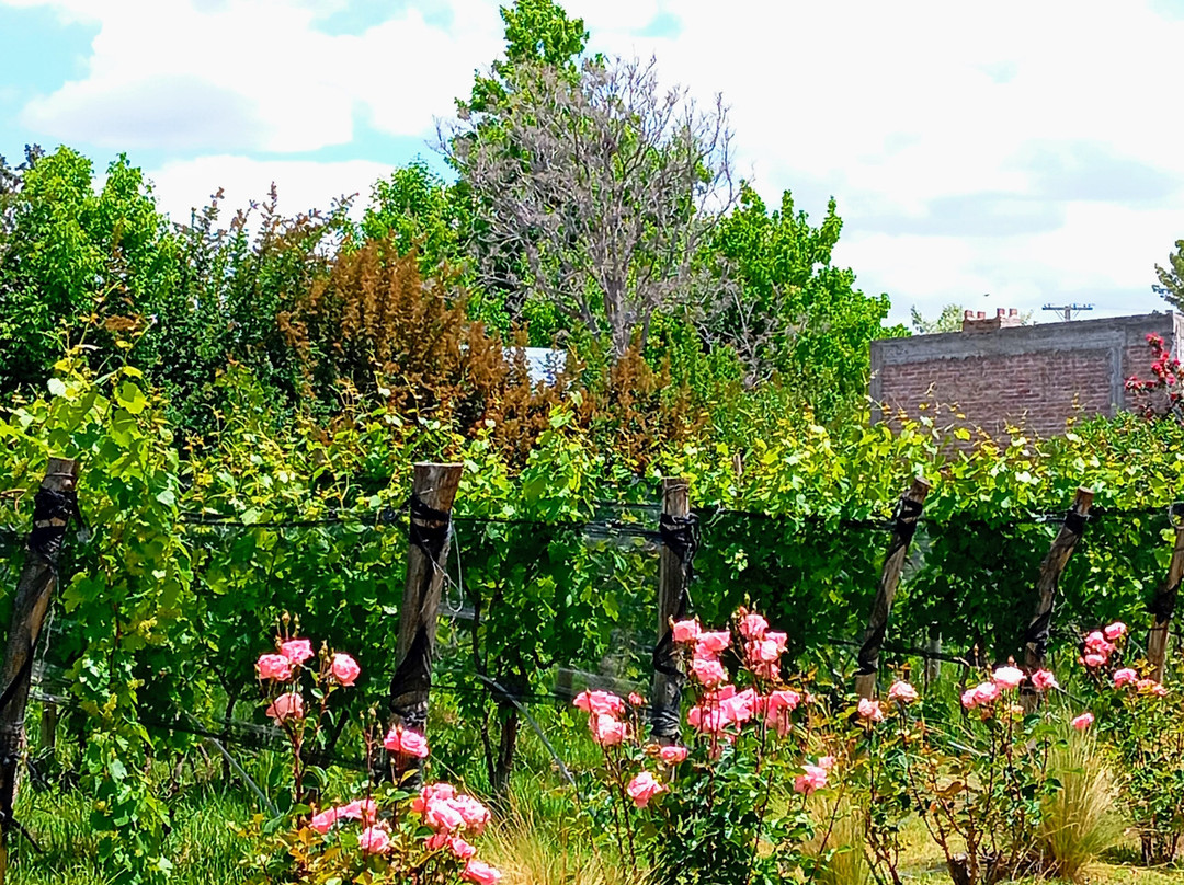 Bodega Familiar Agroecológica De La Tierrita-Eugenio Bustos必去景点