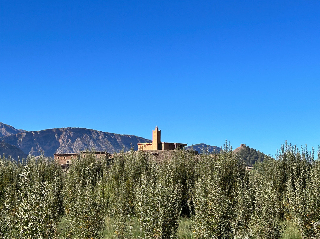 Marrakech Trekking-马拉喀什必去景点