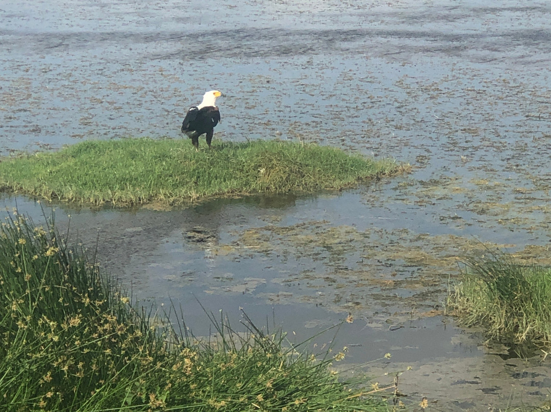 Amboseli National Park-Amboseli Eco-system必去景点