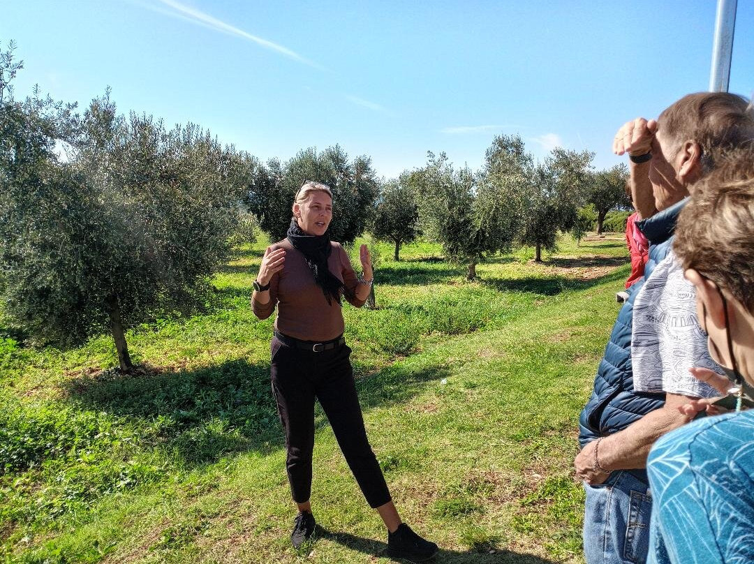 Oio Vivo-Galizana必去景点