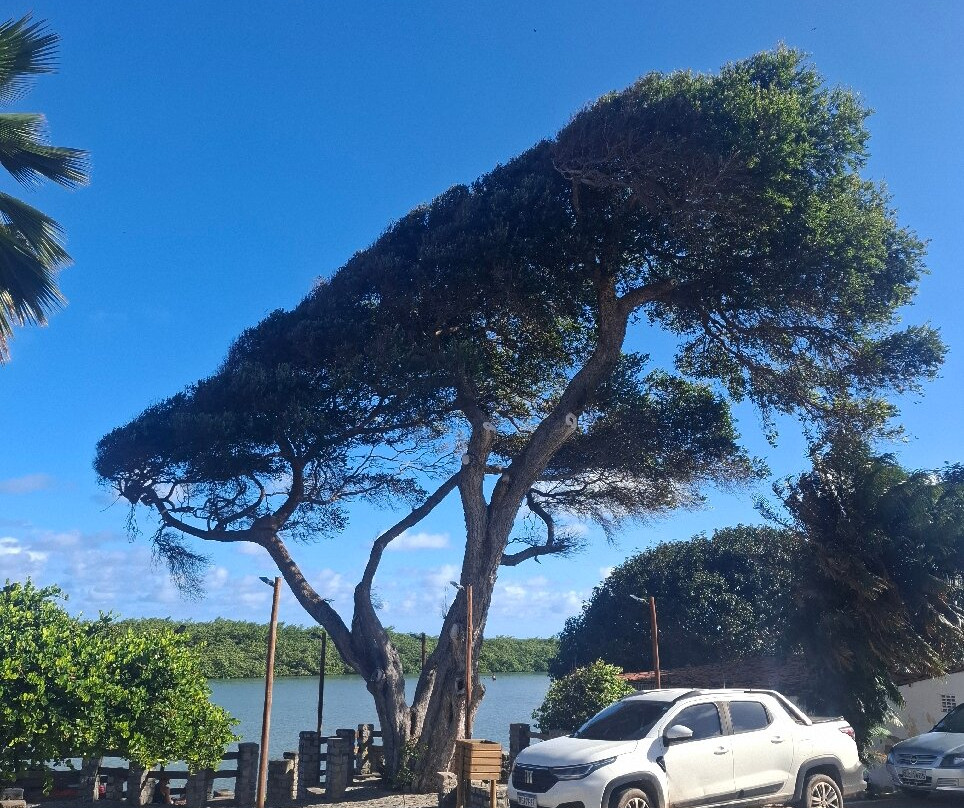 Barreiras Beach-Coruripe必去景点