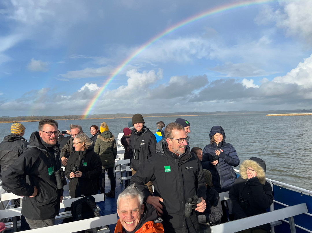 Birds Of Poole Harbour Events-普尔必去景点