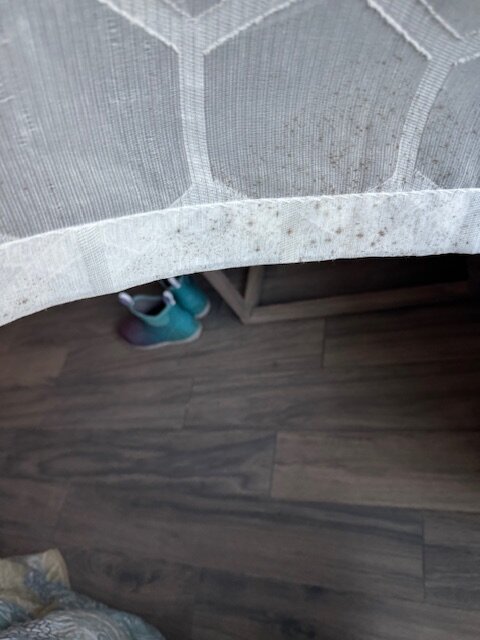 Ivey House Everglades Adventures Hotel-客卧