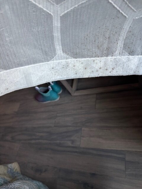 Ivey House Everglades Adventures Hotel主图