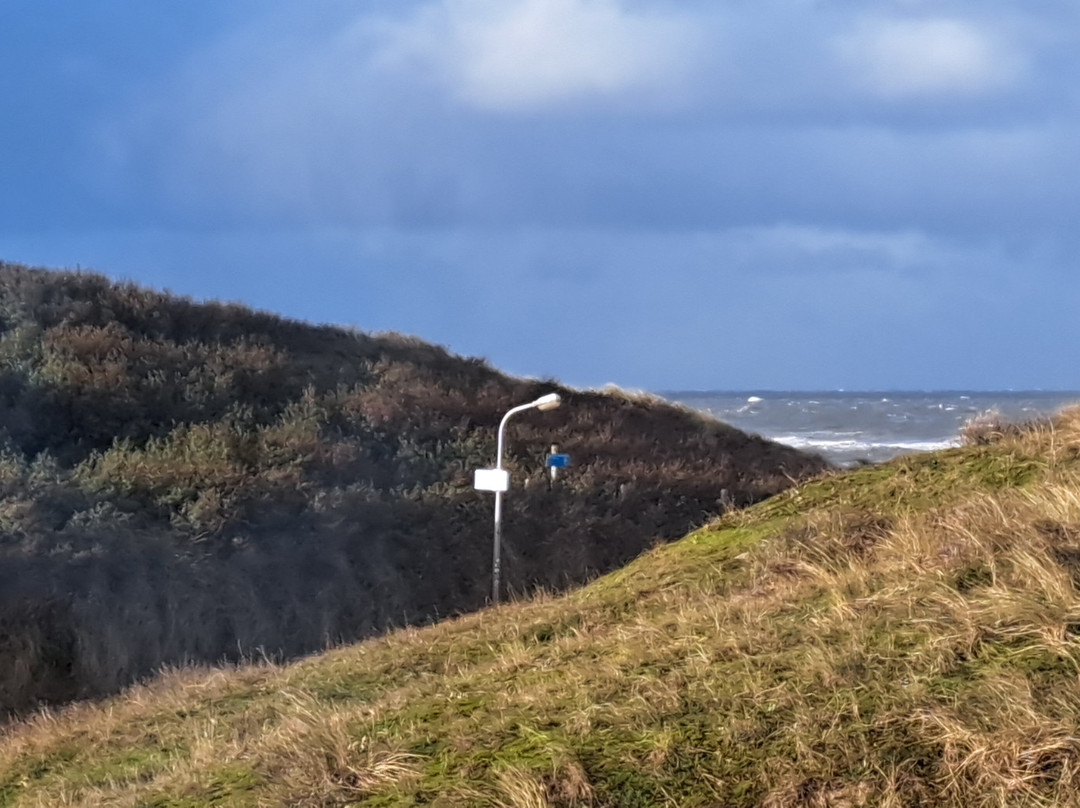 弗莱彻酒店主图