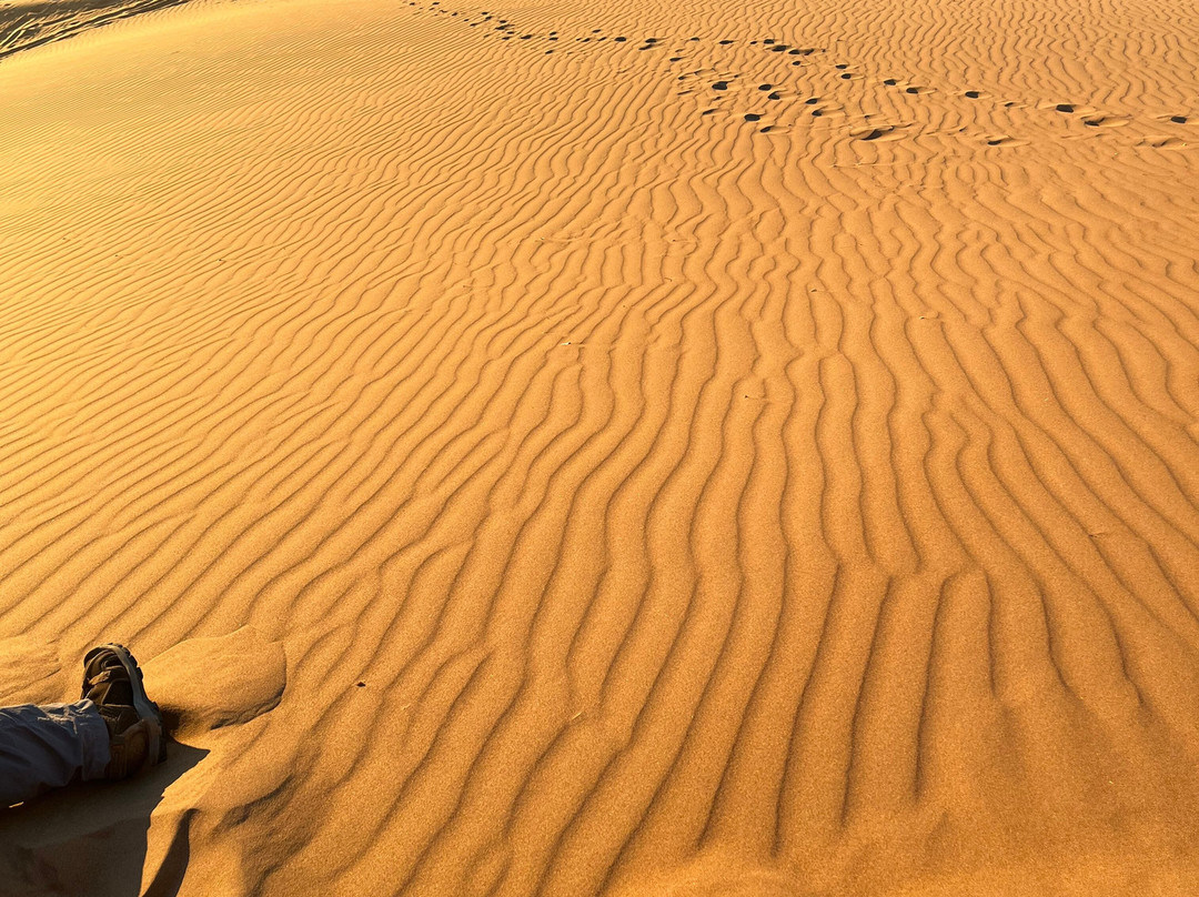 Desert Maroc Tours - Day Tours-扎古拉必去景点