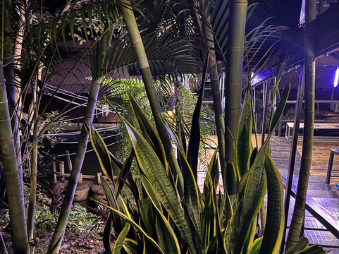 Sweet Garden River Kwai Resort