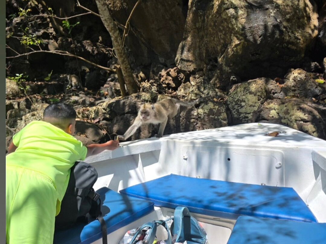 Dauphine Tours Mauritius-大湾必去景点