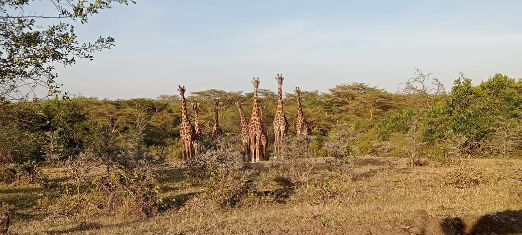 Top Africa Safaris-迪亚尼必去景点