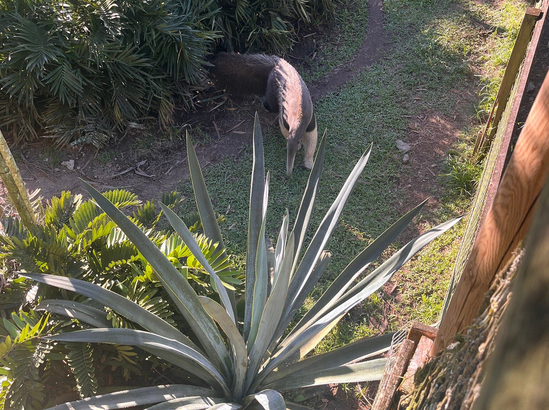 Zoo de Martinique-Le Carbet必去景点