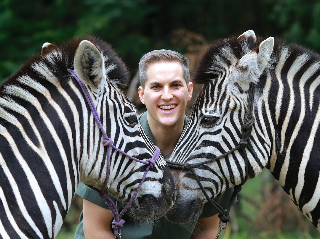 Zebra Interaction-Rayton必去景点