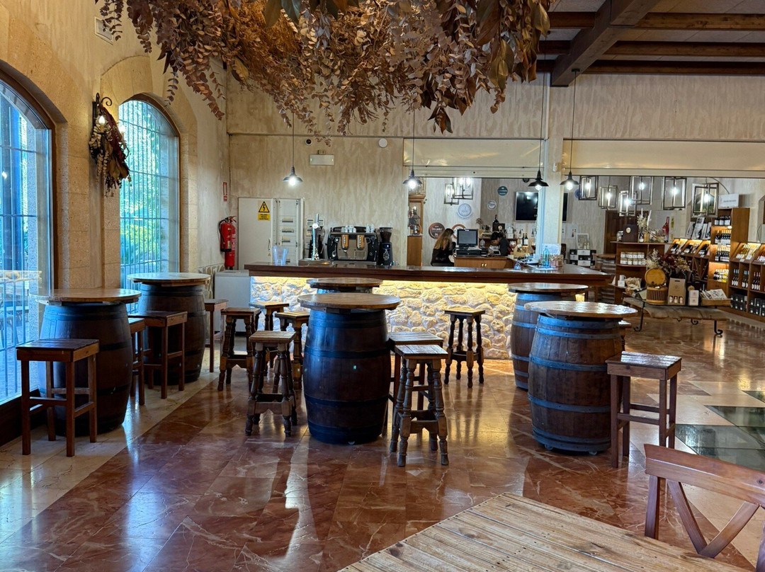 Bodega Casa Sicilia-Novelda必去景点