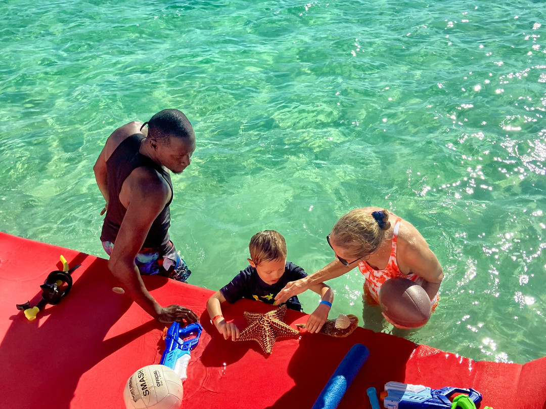 Neal Watson's Bimini Scuba Center-Alice Town必去景点