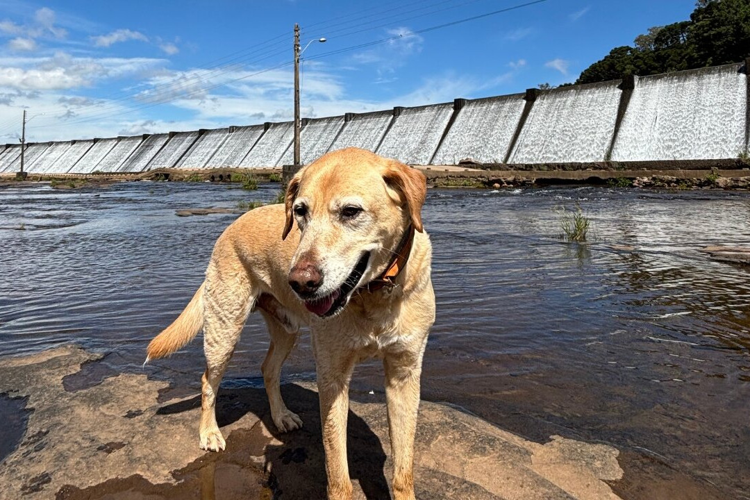 Barragem do Salto-Sao Francisco de Paula必去景点