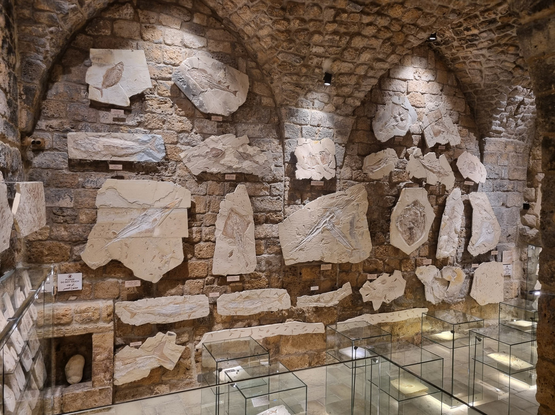 Memory of Time-朱拜勒必去景点