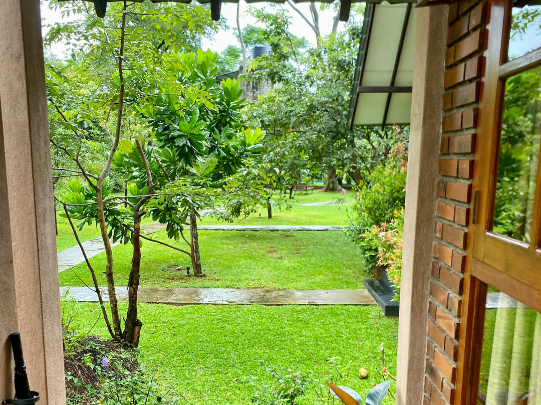 The Cottage Sigiriya主图