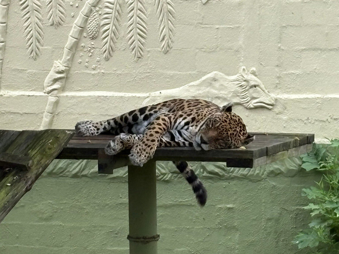 Zoo Pomerode-Pomerode必去景点