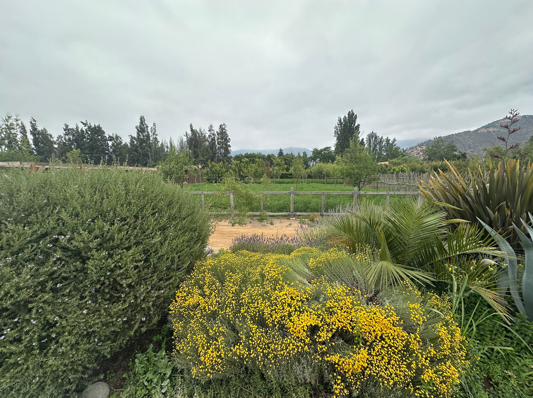 Campo La Quirinca-Isla de Maipo必去景点