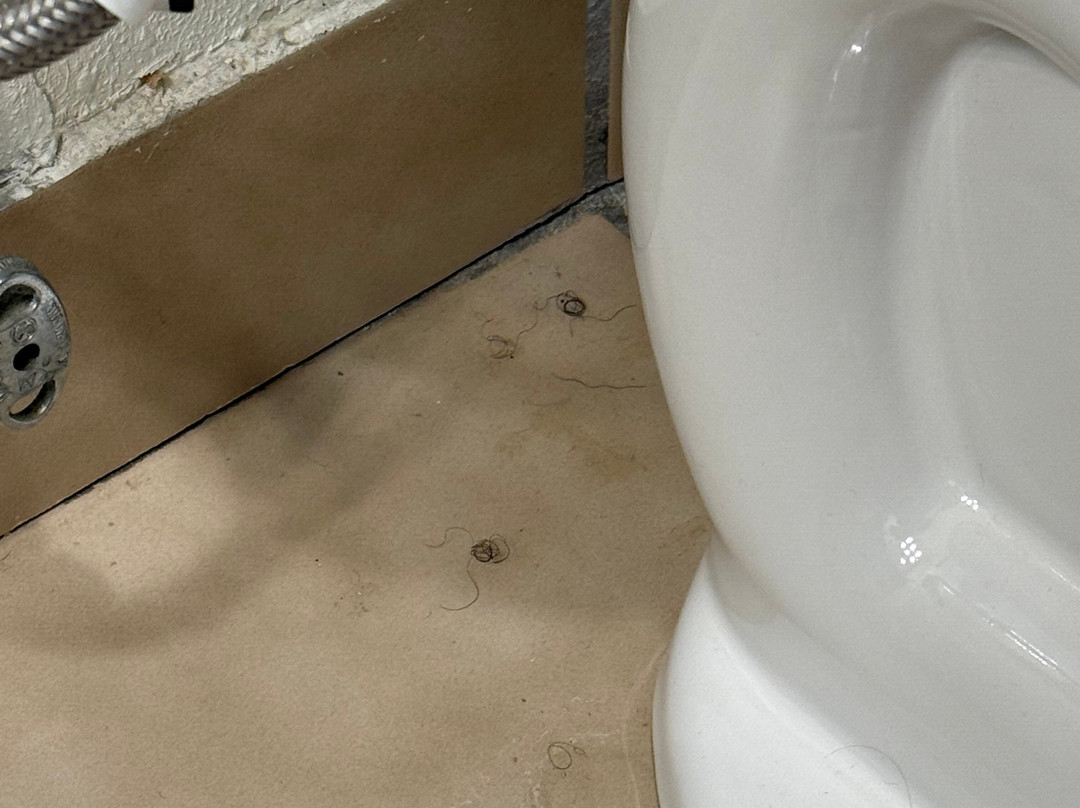 Country Inn & Suites by Radisson, Ankeny, IA主图