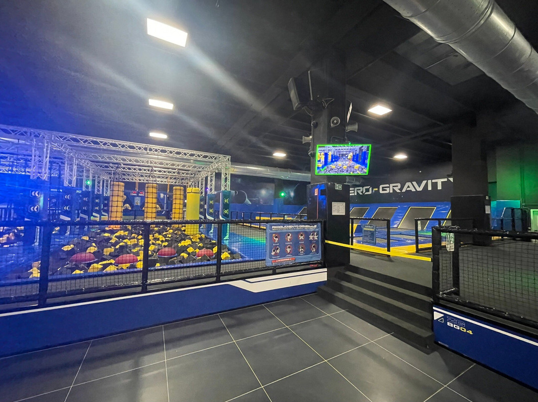 Zero-Gravity Bergamo