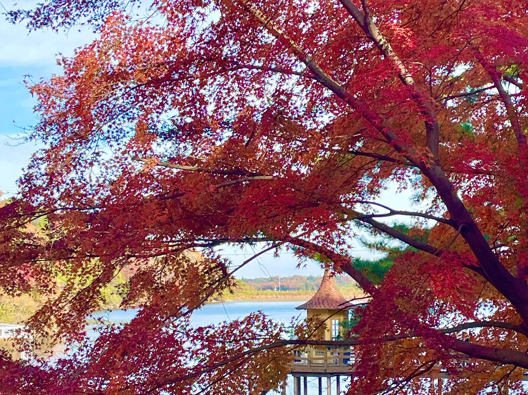 MOOMINVALLEY PARK-饭能市必去景点