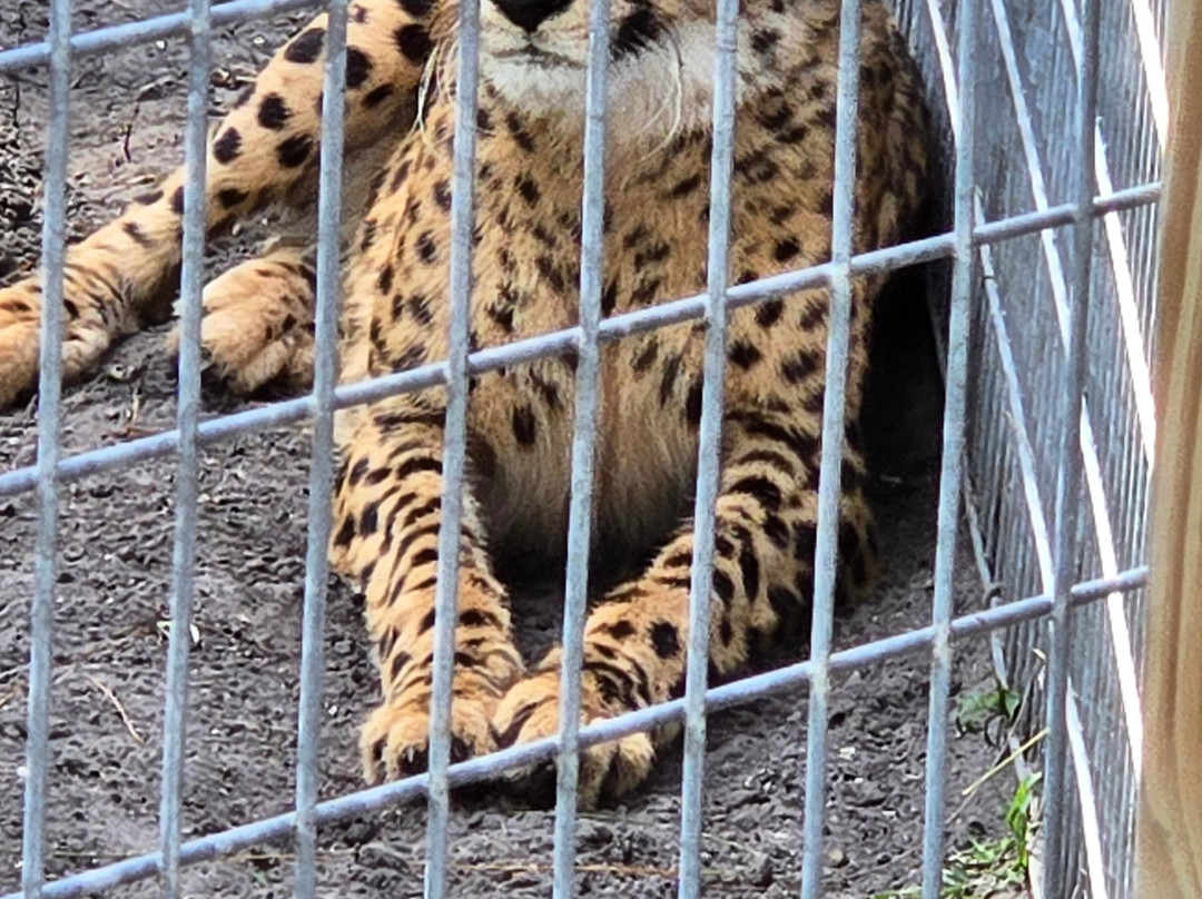 McCarthy's Wildlife Sanctuary-西棕榈滩必去景点