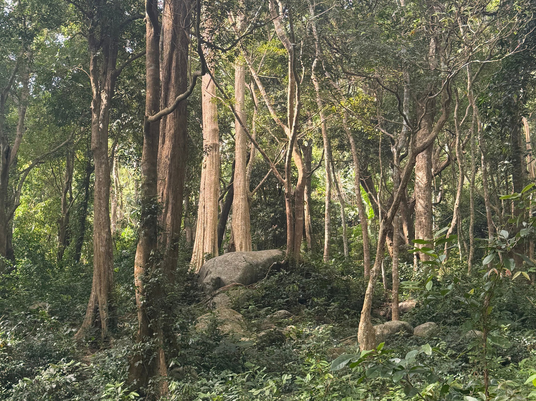 TTC World - Tà Cú-Thi Tran Thuan Nam必去景点