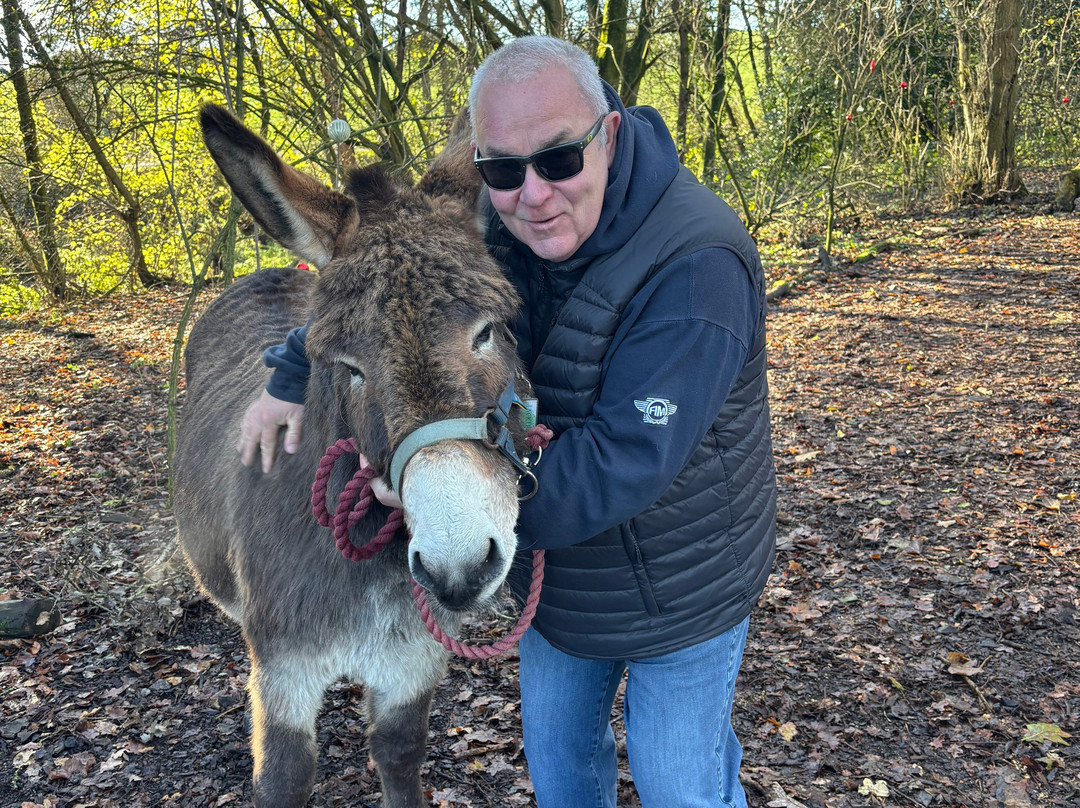 Charnwood Forest Alpacas-Boundary必去景点