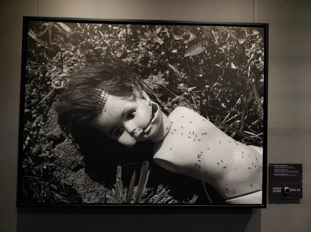 Galerija 11/07/95-萨拉热窝必去景点