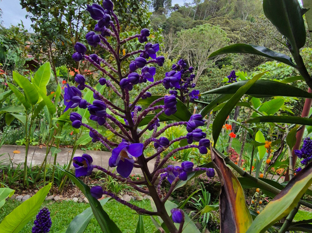 Carolina Egg Gasthaus主图