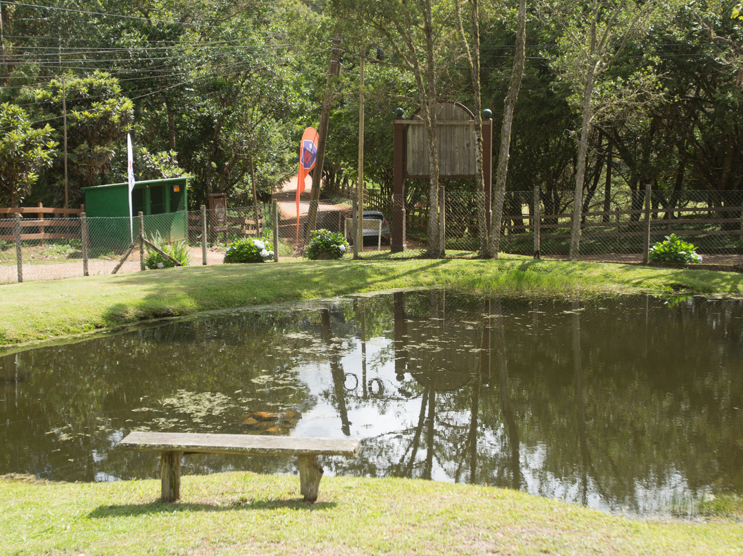 Pousada Vida Verde主图