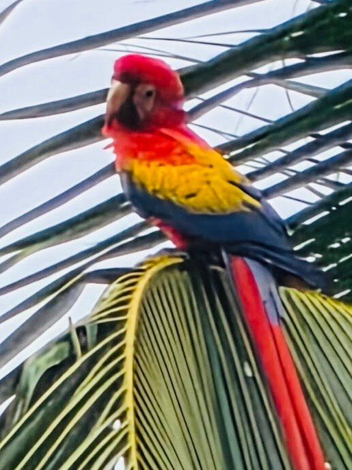 坦伯尔热带酒店-官方